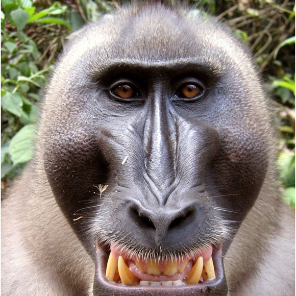 Meet your Posher, Madelin - Picture 1 of 1